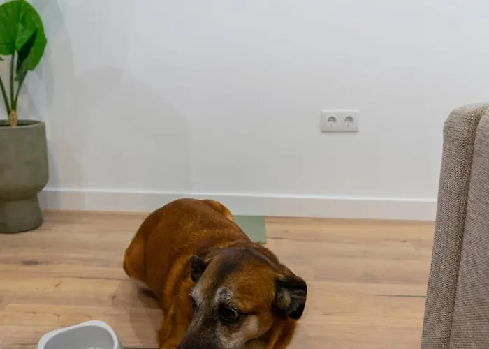 Apartman Matisse, Totalmente Reformado Y Modernista